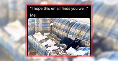 24 Sweet Sunday Cat Memes to Prepaw Yourself for the Upcoming Workweek
