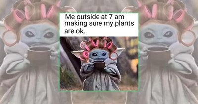 A Harvest of Gardening Memes for Green Thumbs and Backyard Botanists