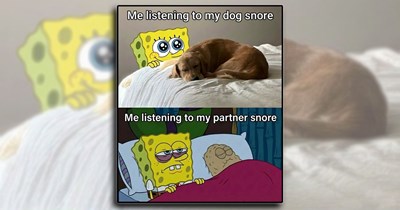 'Good boys get good memes': Dog Memes to Fill Your Morning Cup with Puppy Pawsitivity (June 13, 2026)