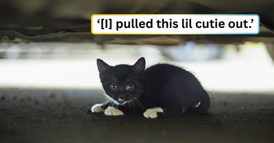 Caring couple finds a 5-week-old kitten under their car in a gas station, just after talking about getting their 4-year-old feline family member a new friend