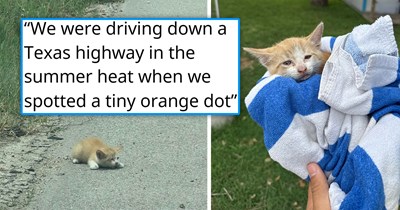 Couple adopts tiny orange kitten they found dehydrated on a road in the scorching Texas heat, he bonds with them instantly, knowing they saved his life: 'he likely wouldn't have survived much longer on his own'