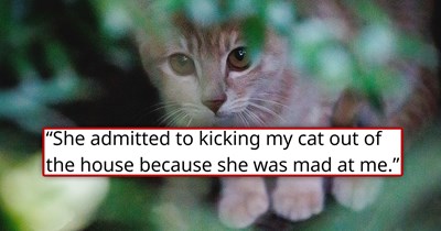 Girlfriend of 4 years throws boyfriend’s anxious cat onto the street after an argument, not knowing he was planning to propose in a month, he rescues the cat, confronts her until she admits it, and ends the relationship