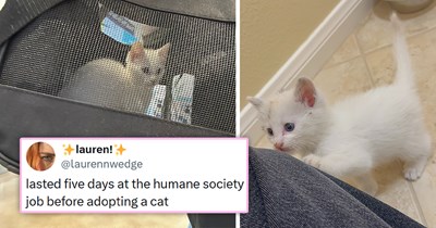 Fosterer proudly gives their kitten to a "good family" only for them to nearly immediately return the cat, the fosterer can't bear the thought of leaving her again and adopts her in just 5 days: 'The adoption hold was placed on day 3'