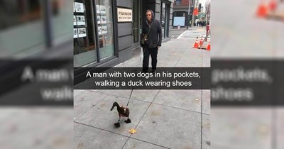 23 Memes for a Peaceful Night in June