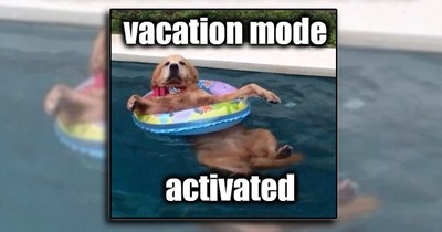 27 Pet-Friendly Vacation Memes to Take with Your Fur Friend This Summer