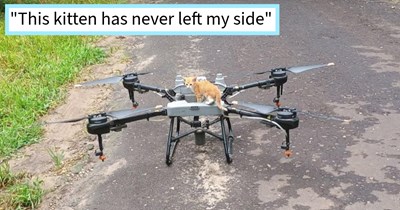Orange kitten holds drone pilot hostage, screaming at him and climbing his pants until he agreed to give him a furever home, rescuer says: ‘He's extra affectionate, and still crazy kitten playful.’