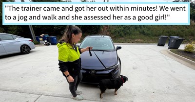 College janitor adopts dumped Australian Cattle dog, but finds out the pawfect pupper came with a few surprises, dog mom says: ‘For the first three days she was a normal dog but the moment I left she shut down completely.’