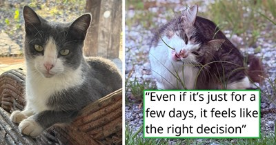 After preparing to say goodbye forever, cat parent brings their beloved cat home, where she spends her unexpected extra days doing nothing but purring, reassuring her human they made the right choice