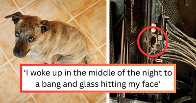 Neighbor’s dog accidentally causes a late-night bedroom disaster, leaving one woman’s room covered in shattered glass and a hole in her expensive gaming PC