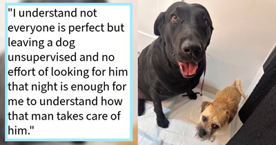 2 dogs running through traffic saved by Miami woman who found them space at the shelter, only to discover that their neglectful pawrents want them back, rescuer says: ‘How do you leave your dog unsupervised overnight if you love him so much?’