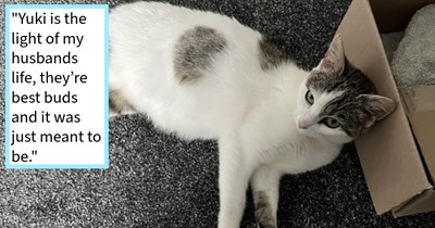 British pub patron saves dumped kitten who’d spent days scavenging from garbage, but vets confirm this fur baby comes with babies inside, rescuer says: ‘She’s in my spare room living her best life and waiting to give birth, which was not in the plan.’