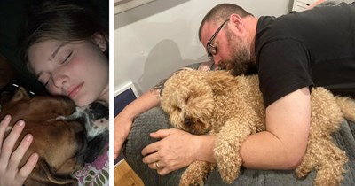 21 Sweet Snuggling Puppers Napping with their People fur a Comforting Canine Hug