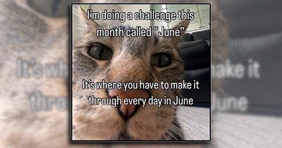'Laughter is the best medicine': 21 Laughs That Will Guide You On Your Inner Journey to a Happy Brain (June 20, 2026)