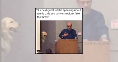 21 Golden Retriever Memes Shining in Your Feed With Pure Gold Comedy