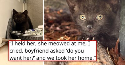 Right after discussing getting a cat, the sweetest big-pawed black kitten finds her way into their lives, instantly making them feel like it was meant to be: 'Just a perpetual shot of serotonin'