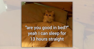 33 Wholesome Feline Funnies With Absolutely No Hidden Commentary Whatsoever