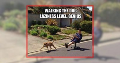 23 Delightful Doggle Doggos for Dog People Who Dance the Doogie Boogie