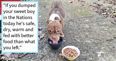 Employee on way to work who spotted dog being dumped by roadside with food and blanket stops to save pupper, but unable to care for her himself finds loving furever home with extended family: ‘My dad and step-mom met him and fell hard for him.’