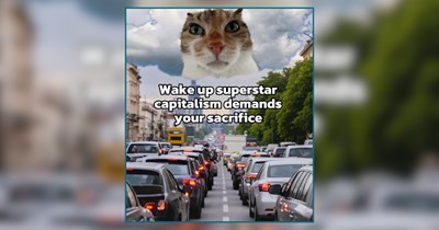 A Fresh Batch of Cat Memes For Coffee Lovers on a Caffeine Hiatus 