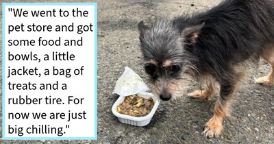 Abandoned frozen dog found tied to pole saved by car inhabitant who immediately got to pampering the pup, but received online backlash for their kind act due to living in car, says: ‘I did the right thing by taking her in. That’s it and that’s all.’