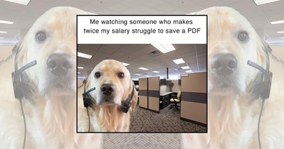 22 Hardworking Animal Memes to Reward Yourself After a Productive Day