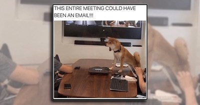 ‘I love my job, I love my job…’: Skip this 9-to-5 mantra, it's time to clock into work memes 