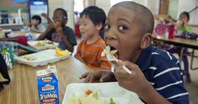 Elementary School Gets Rid of Hot Lunch, Feeds Students Moldy Turkey Sandwiches Instead