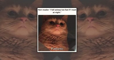 22 Cozy Book Memes for Readers Who Buy Books Faster Than They Read Them
