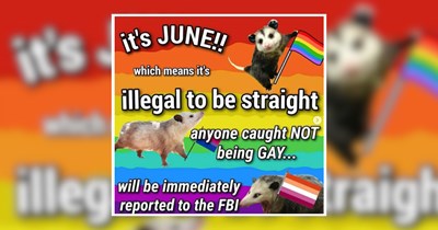 'I wish all working class queers a very pleasant pride month': 25 Queer Memes to Wrap Pride Month