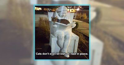 Caturday Cuteness Made of 30 Meowing Memes for Cat People