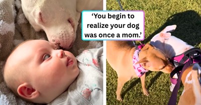 Family's dog bonds with their newborn like a mother, so they run a DNA test and it leads them straight to her long-lost daughter, reuniting them after years