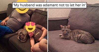 After a family spent nearly a year hoping for a pet, a friendly stray cat shows up on their porch and wins over the dad who insisted she wasn't coming inside