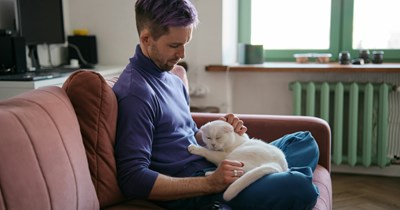 Computer science student rescues a cat outside of his university and unintentionally names him after his classmate, now class is awkward: ‘Everyone looked at me strangely…’ 