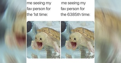 The Best Heartwarmingly Wholesome Memes and Posts of the Week
