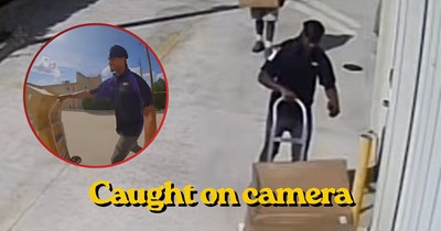 Delivery driver throws and kicks $30K worth of audio equipment on camera, the delivery company closed the complaint without responding, and only acted after a news station got involved