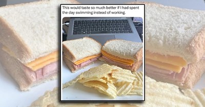 'Sorry, I'm on break': A brown bag of tasty lunch time memes to enjoy before heading back to work