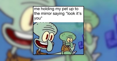 28 Memes For Anyone Stuck In A Funk And Looking For A Way Out Of It