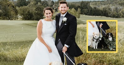 Sister bans her brother’s kids from her child-free wedding, but gives the family dogs roles in the ceremony: 'Two German Shepherds are the Flower Girl and Ring Bearer'