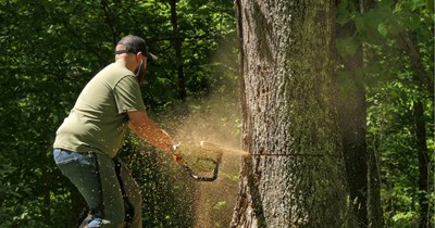 Neighbor cuts resident's trees and runs their well dry so he can build a fence between the properties, leading resident to build a case against him: ‘He made it even worse’
