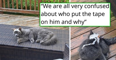 Disoriented cat whose head is wrapped up in tape appears on neighbor's deck, only for them to repeatedly shoo him away with a broom, the next-door neighbor sees this, takes meowtters into their own hands, and saves the cat 