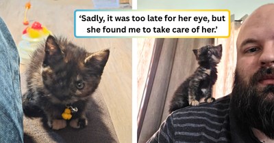 Tiny kitten with a severe eye infection finds her way to a man's yard and into his home — the eye may not have made it, but she did.
