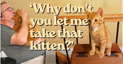 'Oh no you didn't!': Southern cat pawrent makes a trip to Walmart, catches three boys tormenting a tiny kitten, then steps in to save the orange baby turning her errand into a rescue