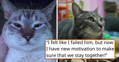 After temporarily saying goodbye to their cat for 2 months, person works incredibly hard to make enough money for the cat's medication, and gets the feline back with new hope: 'I made sure to visit him at the shelter every chance that I got'
