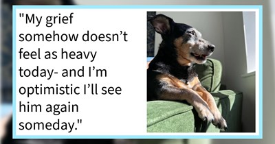 ‘I begged the universe for a sign he was still with me before falling asleep’: Pupper who passed visits pawrent in dream days after crossing rainbow bridge, giving his hooman closure and comfort in her time of need.