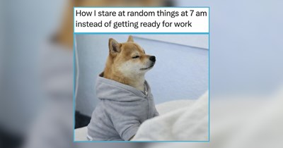 24 Good Morning Barks of Memes for Doggo Loving Owners Running on Kibble and Coffee (June 30, 2026)