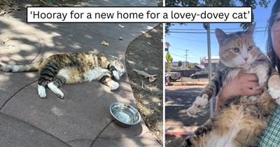 Choosing to meet a friend at her apartment door instead of waiting outside leads to one lonely cat finally finding the loving home she deserved.
