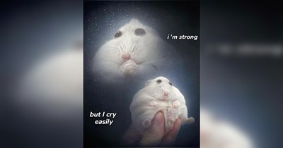 Random Memes That Transcend the Game
