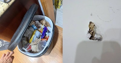 Airbnb charges extra $150 'cleaning fee' after guests leave one Hershey kiss wrapper and beds unmade: 'This is all normal cleaning'