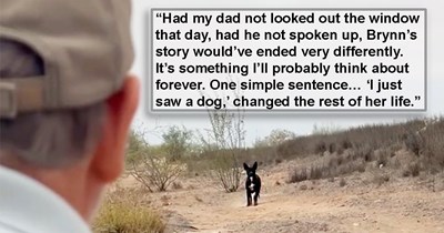 Man visiting his daughter finds a starving mama dog who has lost all her puppies stranded on the side of the road, luckily, his daughter is a professional animal rescuer: ‘Dad’s first rescue!' 