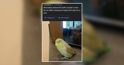 'The water tasted funny, I felt a little dizzy': 26 Unhinged Google Reviews  5 Stars Worthy 